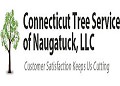 Connecticut Tree Service of Naugatuck LLC